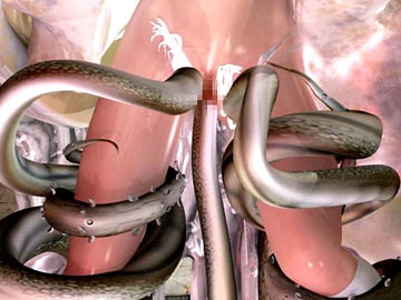 Animated sex 3D