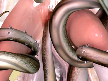Animated sex 3D
