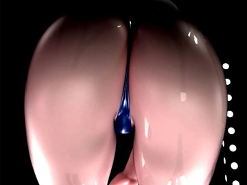 3D animated adult movie