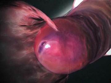 3D animated adult movie
