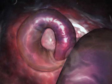 3D xxx animated