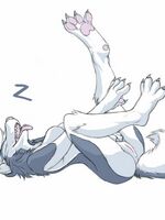 furry sonic porn