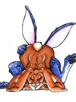 furry sonic porn