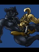 furry sonic porn