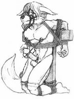 furry sex comics