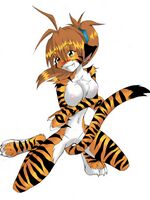 furry sonic porn
