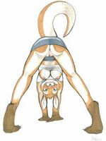 furry sonic porn