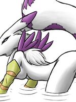 furry sonic porn