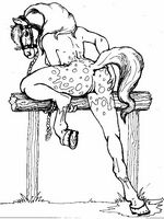 gay furry comics