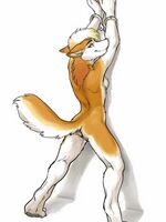 furry sonic porn