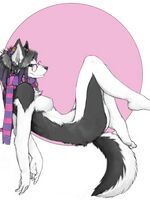 furry sonic porn