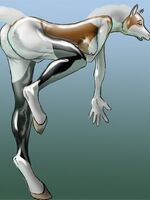 furry sonic porn