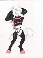 furry sonic porn