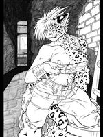 furry comics