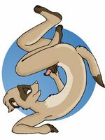 furry sonic porn