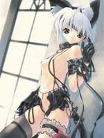 furry sonic porn