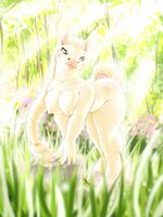 furry sonic porn