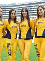 lycra spandex