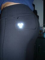 girls in spandex shorts