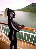 lycra spandex