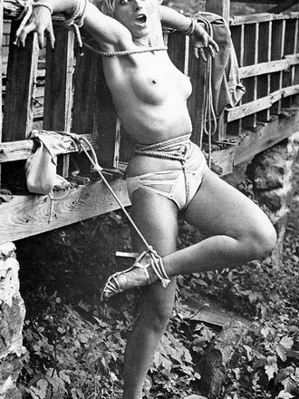 vintage bdsm