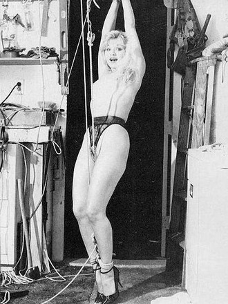 vintage bdsm