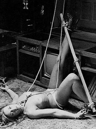 vintage bdsm