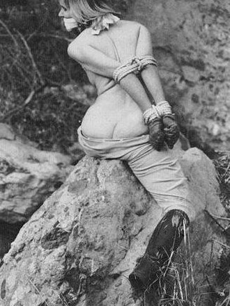 vintage bdsm