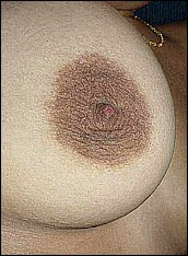  hommade indian porn