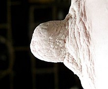 763_1321.jpg
