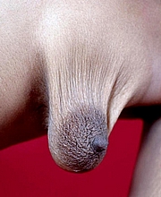 763_1025.jpg