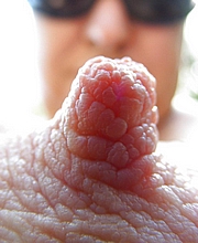 763_1272.jpg