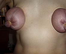 763_1136.jpg