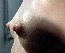 763_1220.jpg