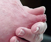 763_1277.jpg