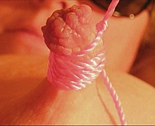 763_1282.jpg