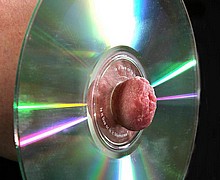 763_1305.jpg