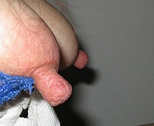 763_1310.jpg