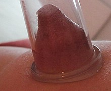 763_1009.jpg