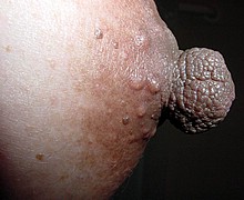 763_2063.jpg