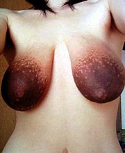 763_1032.jpg