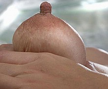 763_1046.jpg