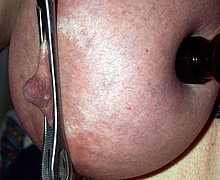 763_1024.jpg