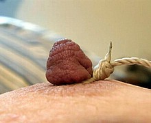 763_1102.jpg