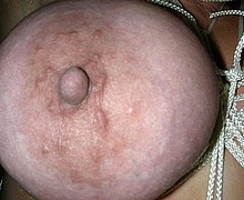763_1177.jpg