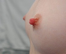 763_1450.jpg