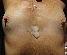 763_1534.jpg