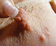 763_1536.jpg