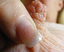 763_1537.jpg