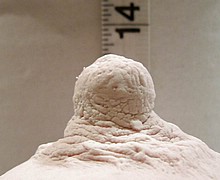 763_1608.jpg
